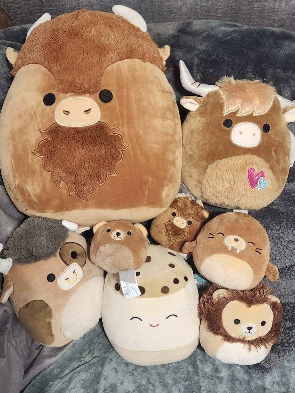 Squishmallows - Picture 3 of 5